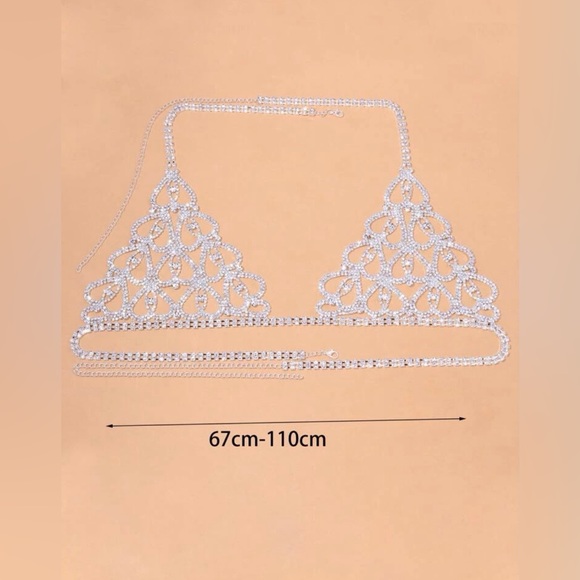 Silver Rhinestone Body Chain with rhinestone bikini Panty set. - Picture 3 of 7